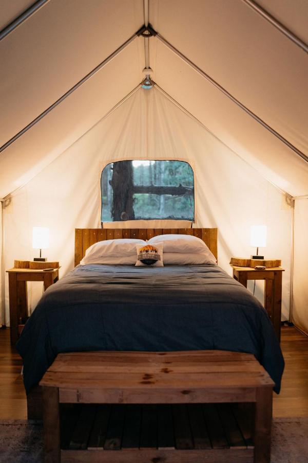 Treehouse Cozy Glamping Site Hotel Branson Buitenkant foto