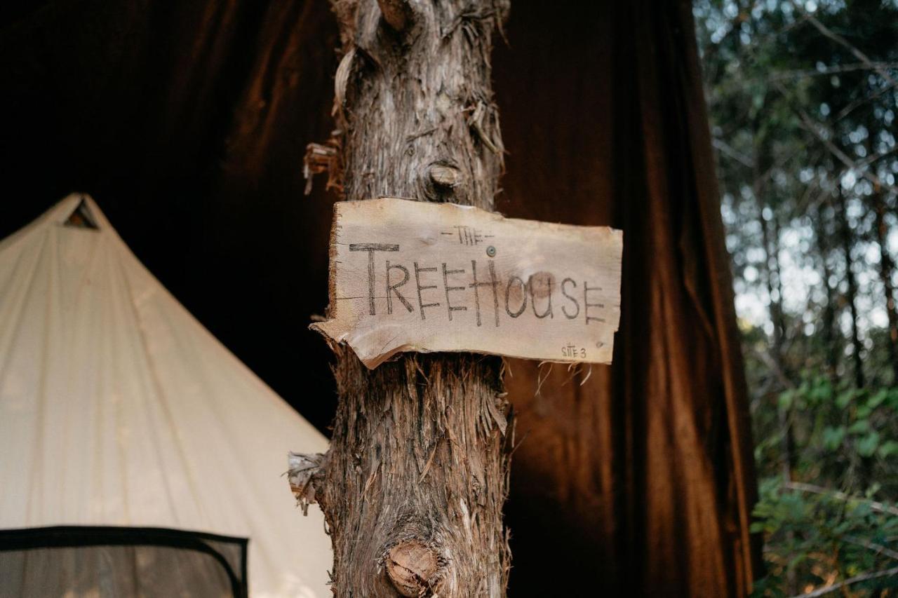 Treehouse Cozy Glamping Site Hotel Branson Buitenkant foto